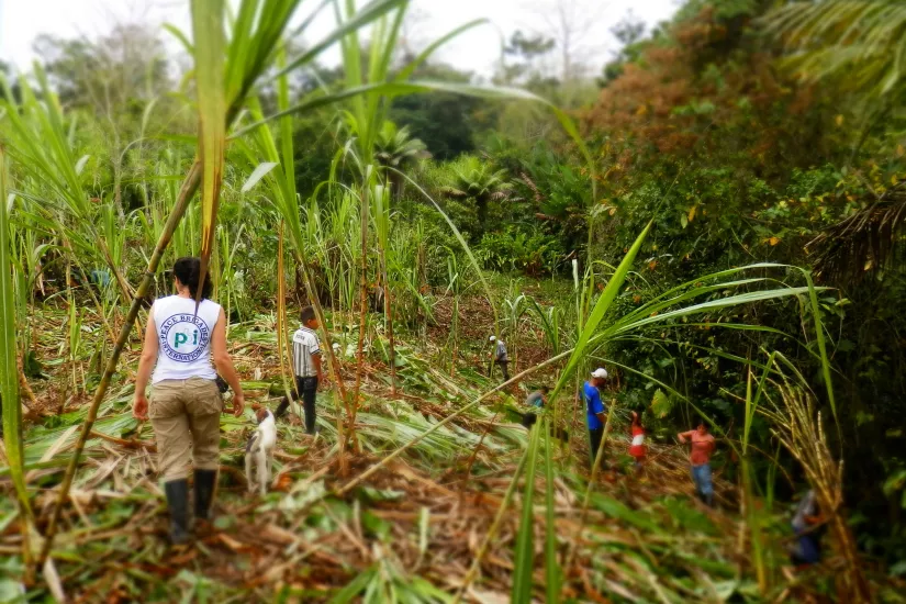 Photos : Accompagnements à la Communauté de Paix de San José de Apartado, dans la Serrania de Abibe