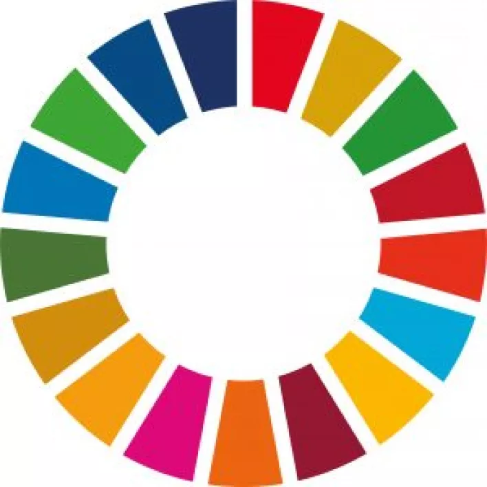 Die 17 Ziele für nachhaltige Entwicklung (Sustainable Development Goals)