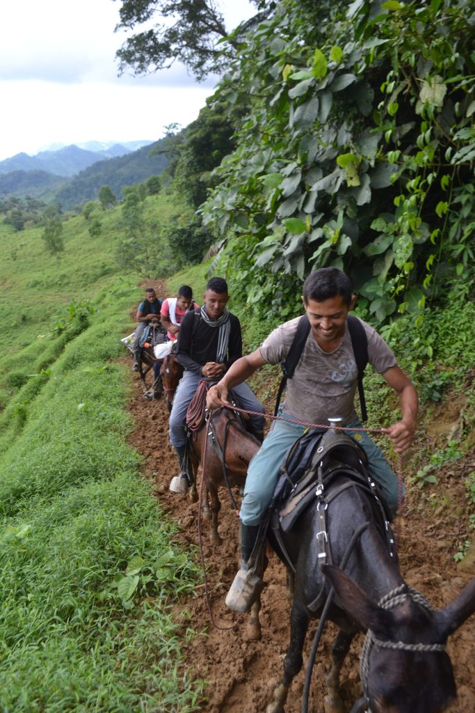 Kolumbien (Bilderstrecke/Bild1): Auf den Pfaden des Friedens - Gemeinschaftsarbeit als Leben und Widerstand