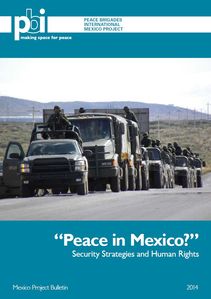 Publikation "Peace in Mexixo?"